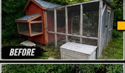 Before — Chicken coop removal & property cleanup